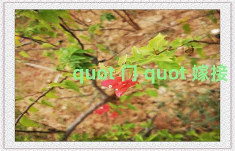 quot 门 quot 嫁接